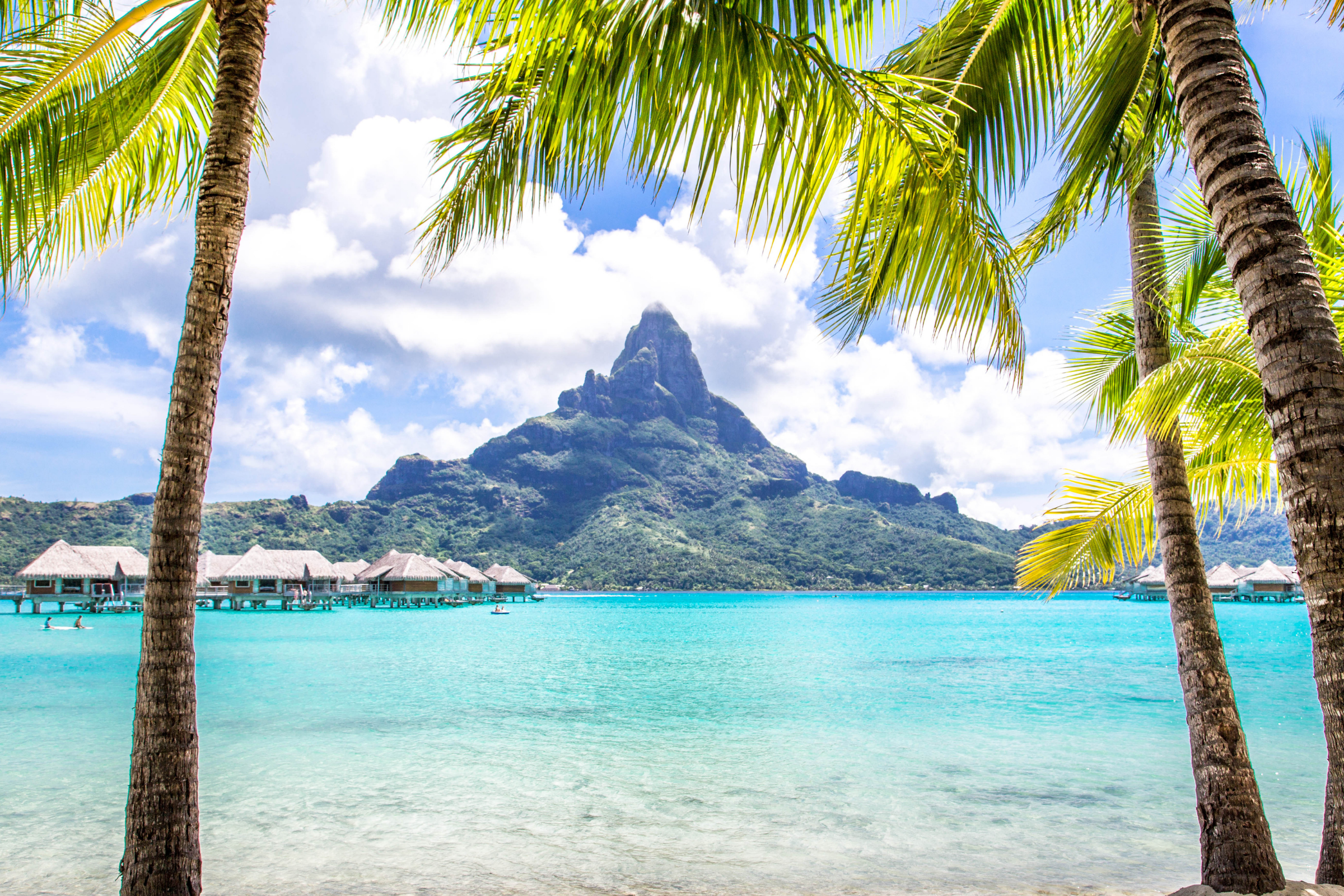 2 mangareva island.webp